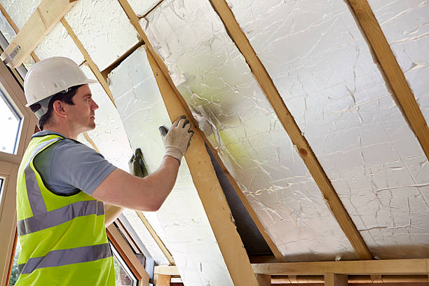 Best Cellulose Insulation in Lodi, NJ